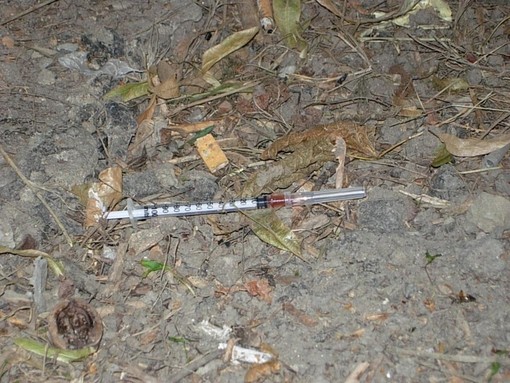 Savona, trovata siringa nell'Oasi canina di via Giacomo Leopardi