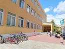Cinghiali in città, momento di paura davanti alle scuole Colombo, una mamma: "E' stato un attimo, poteva colpire un bambino"
