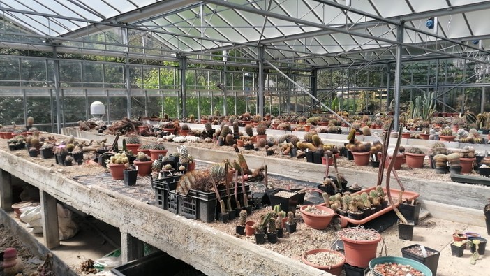 Savona, il Comune approva tre nuovi patti di collaborazione con associazioni e cittadini tra arte pubblica, doposcuola e rigenerazione urbana