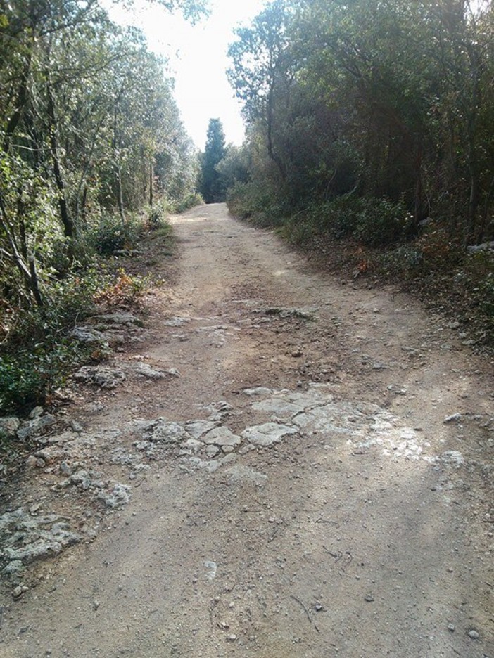 “GAL Valli Savonesi” e “GAL Riviera dei Fiori”, nuova utile collaborazione per il territorio