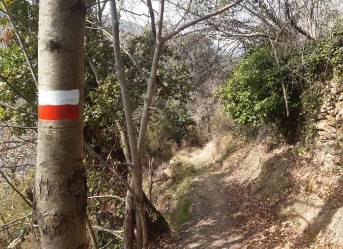 Manutenzione di strade pubbliche e vicinali: a Calice Ligure approvato il nuovo regolamento per i contributi ai privati