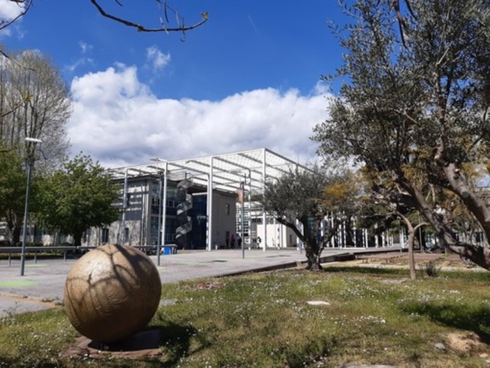 Studentati al palo, per i fuorisede del Campus resta difficile trovare un alloggio Studentati al palo, per i fuorisede del Campus resta difficile trovare un alloggio