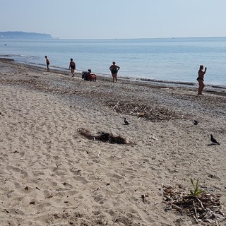 Ceriale, spiagge libere sporche. Fresia: "E' una discarica, pericoloso per i bambini"