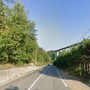 Carcare, senso unico alternato sulla Sp 15 per la potatura degli alberi