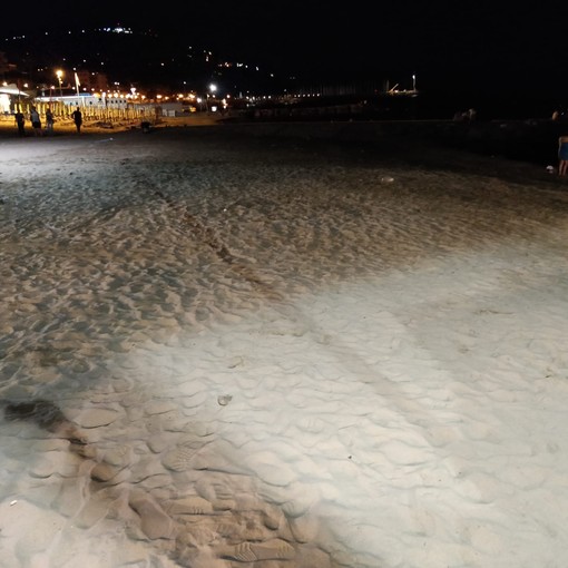 Ripascimenti notturni e all’alba sulle spiagge libere di Andora comune e stabilimenti balneari all’opera su tutto sul litorale Ripascimenti notturni e all’alba sulle spiagge libere di Andora comune e stabilimenti balneari all’opera su tutto sul litorale