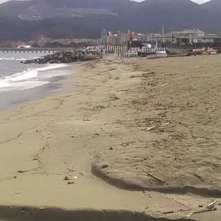 Savona, approvato il piano per il ripascimento delle spiagge: intervento sul tratto di Zinola tra Stella Marina e l’ex ristorante Felix