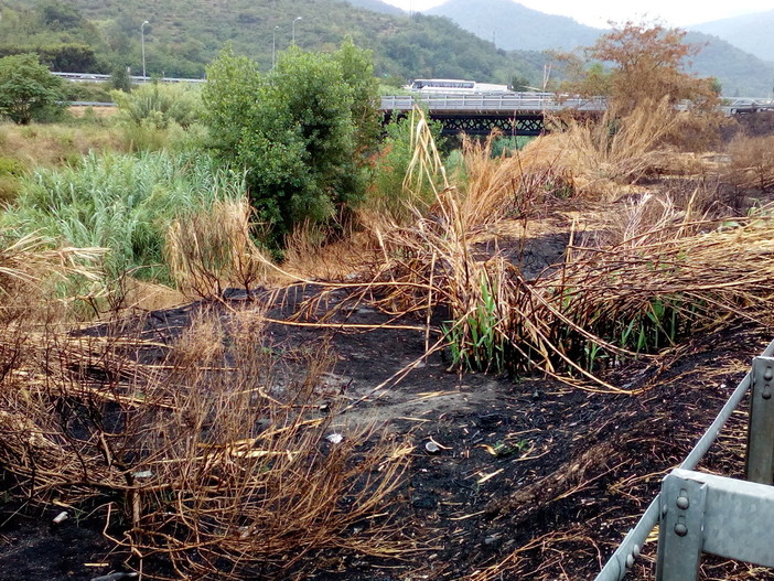 L’Associazione Tutela Ambiente Protezione Civile denuncia il degrado a Borghetto