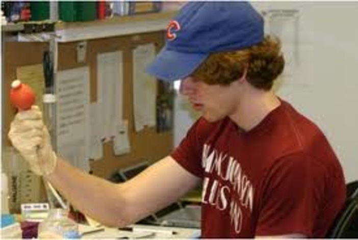 Scuole professionali, Rossetti: "Garantiscono l'ingresso nel mondo del lavoro al 60% degli studenti"