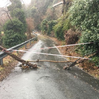 Frana in via Oltreacqua a Varazze, strada chiusa al traffico (FOTO)