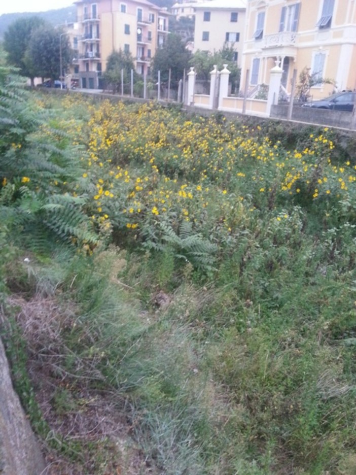 Maltempo, il sindaco di Celle:"Utilizziamo i cassintegrati per lavori utili sul territorio"