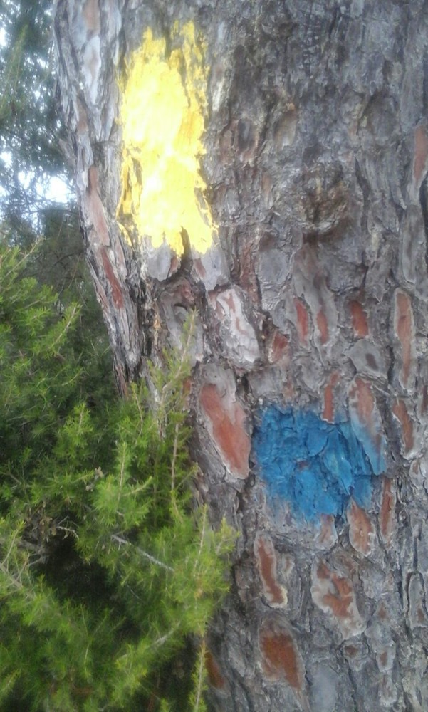 Finale Ligure, l'ira di Danilo Basso: "Dico no agli scienziati dell'outdoor"