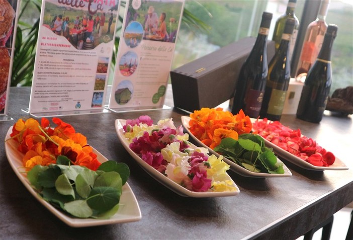 I fiori di Raverabio affascinano il Monferrato. Sold out la cena con i fiori di Castel Rocchero (Fotogallery) I fiori di Raverabio affascinano il Monferrato. Sold out la cena con i fiori di Castel Rocchero (Fotogallery)