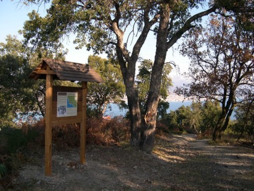 Bergeggi: al via il secondo incontro su "I boschi del Savonese"