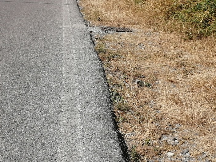 Emergenza siccità, dalla Regione chiesti circa 15 milioni al Governo per il savonese Emergenza siccità, dalla Regione chiesti circa 15 milioni al Governo per il savonese