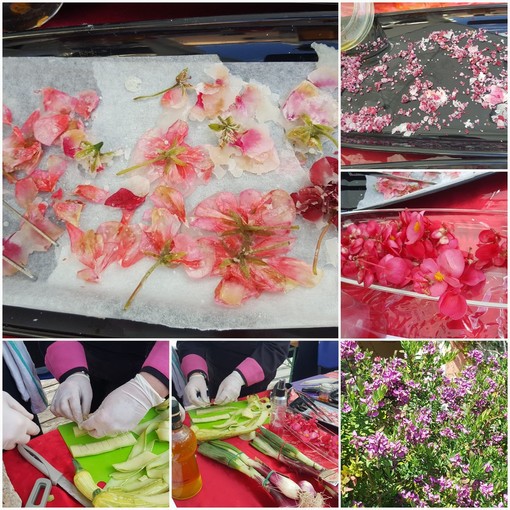 Alassio, Festival della Cucina con i Fiori: videointerviste