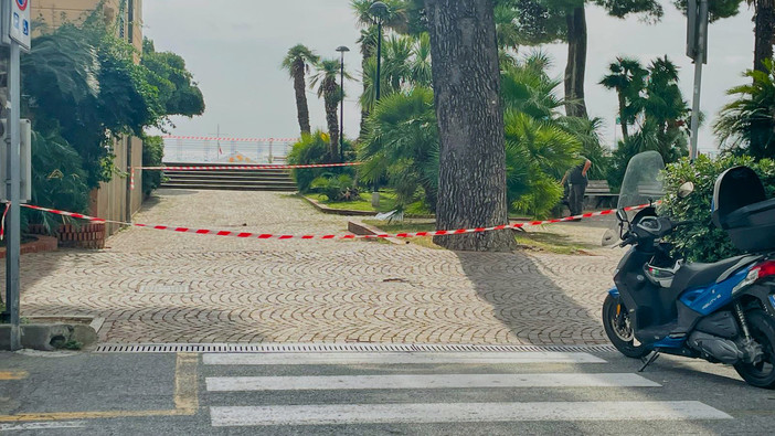 Spotorno, un cinghiale scorrazza sulla passeggiata: intervengono Polizia e Vigilanza faunistica Spotorno, un cinghiale scorrazza sulla passeggiata: intervengono Polizia e Vigilanza faunistica