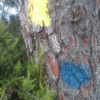 Finale Ligure, l'ira di Danilo Basso: "Dico no agli scienziati dell'outdoor"