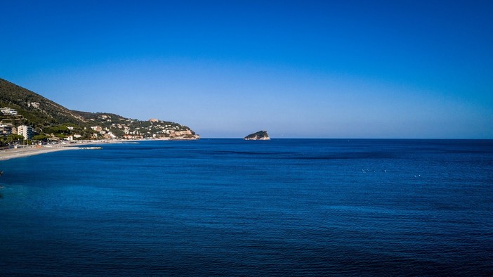 Tra immagini subacquee e biodiversità, a Spotorno una serata per scoprire le meraviglie del nostro mare Tra immagini subacquee e biodiversità, a Spotorno una serata per scoprire le meraviglie del nostro mare