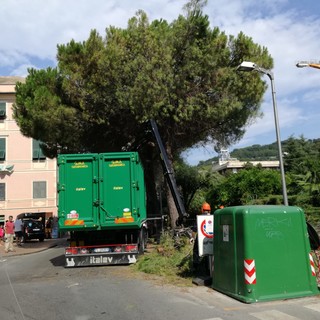 Finale Ligure Viva: "Basta con gli sfalci in piena stagione turistica e senza programmazione"