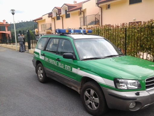 Immagini del sequestro del Corpo Forestale Immagini del sequestro del Corpo Forestale