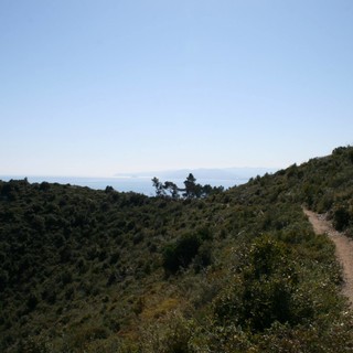 "Stop alla caccia sull'altopiano delle Manie e a Capo Noli": online una petizione