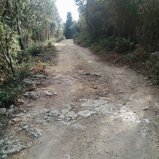 “GAL Valli Savonesi” e “GAL Riviera dei Fiori”, nuova utile collaborazione per il territorio