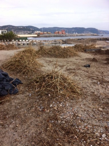 Albenga: un'ordinanza per permettere ai privati di prendere la legna accumulata dalla mareggiata