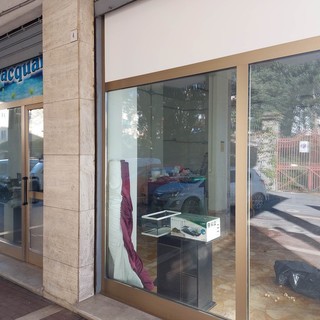 Chiude Savona Acquari di via San Michele, la titolare: "Tutto peggiorato con Covid e caro energia, lo Stato mi ha ucciso" (FOTO)
