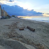 Savona, pulizia spiagge e diserbo stradale. Santi: "Certe zone della città sono trascurate"