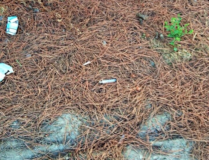 Albenga: l'appello di Ciangherotti "Non abbandonate le siringhe sul territorio"