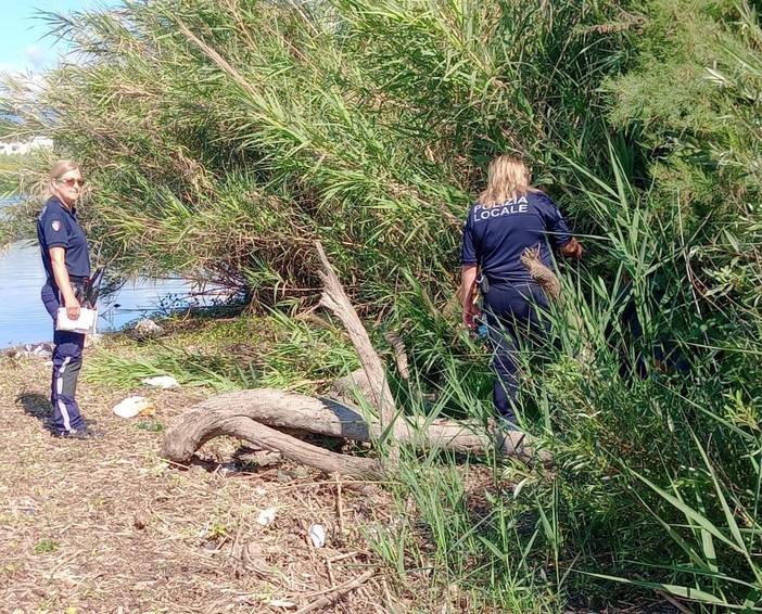 Albenga, controlli nel parco Foce e nella zona del Villino XXV Aprile: tre denunce e sequestro di droga e contanti Albenga, controlli nel parco Foce e nella zona del Villino XXV Aprile: tre denunce e sequestro di droga e contanti