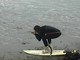 Sci d'acqua o Surf? Ad Albenga l'allerta meteo si prende anche con ironia