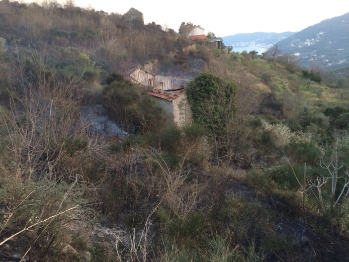 Spento l'incendio sulle colline alassine continuano le operazioni di smazzamento