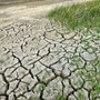 Siccità in Liguria, 170 segnalazioni di danni alle colture: al via le verifiche per la calamità naturale Siccità in Liguria, 170 segnalazioni di danni alle colture: al via le verifiche per la calamità naturale