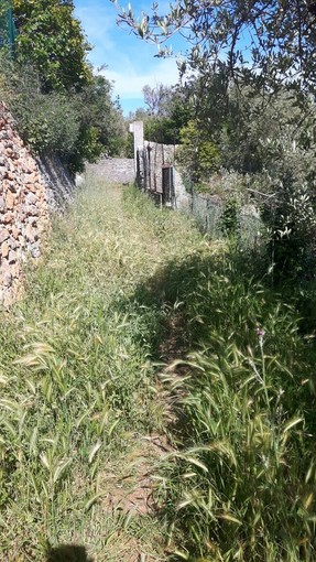 Ceriale, Giordano: “Salviamo e riscopriamo la fonte Anthia”