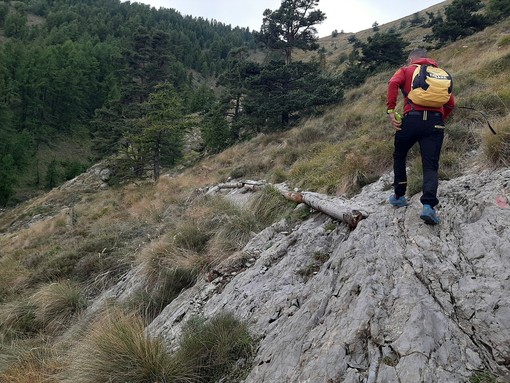 Riapre il Sentiero degli Alpini, il presidente Alessandri: “Grande soddisfazione, restituiamo al territorio un meraviglioso percorso naturalistico” (foto) Riapre il Sentiero degli Alpini, il presidente Alessandri: “Grande soddisfazione, restituiamo al territorio un meraviglioso percorso naturalistico” (foto)