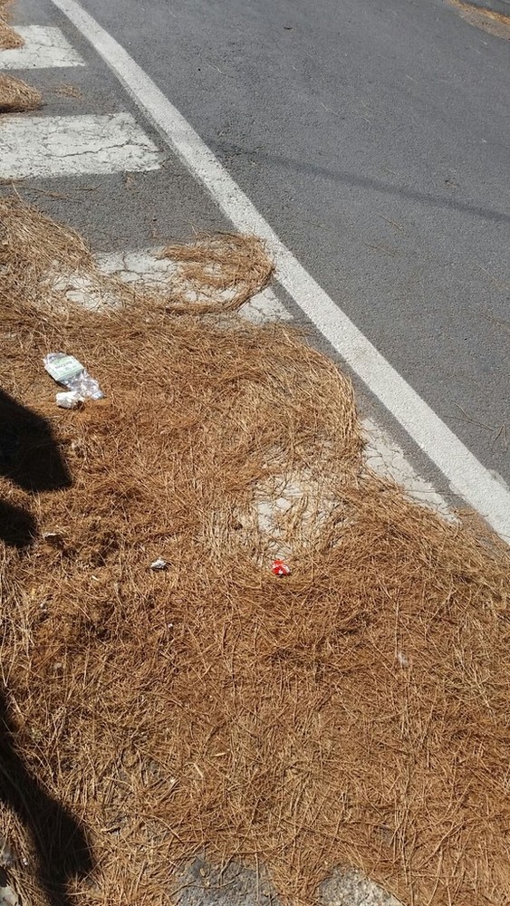 Lusignano d'Albenga, frazione dimenticata dal servizio spazzamento di Teknoservice Lusignano d'Albenga, frazione dimenticata dal servizio spazzamento di Teknoservice