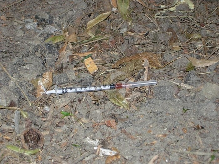 Savona, trovata siringa nell'Oasi canina di via Giacomo Leopardi