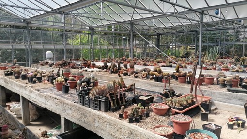 Savona, il Comune approva tre nuovi patti di collaborazione con associazioni e cittadini tra arte pubblica, doposcuola e rigenerazione urbana