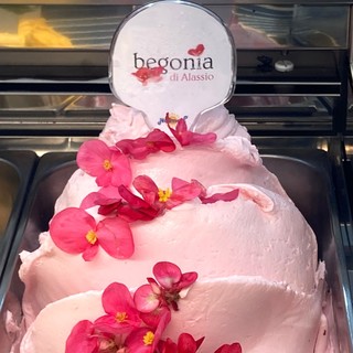 "Begonia di Alassio”, un gelato pronto a conquistare i mercati internazionali