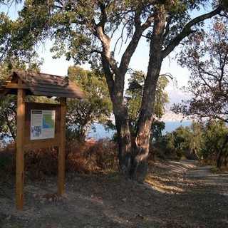 Bergeggi: al via il secondo incontro su "I boschi del Savonese"