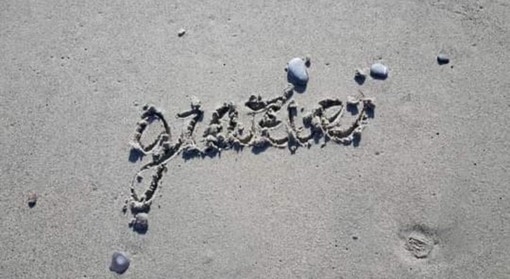 21 settembre: Giornata mondiale della gratitudine e Giornata mondiale della pace 21 settembre: Giornata mondiale della gratitudine e Giornata mondiale della pace