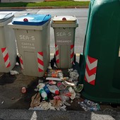 &quot;Spazzatura varia versata davanti ai bidoni condominiali e non ritirata da cinque giorni&quot;