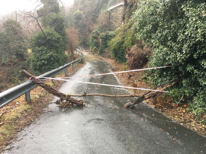 Frana in via Oltreacqua a Varazze, strada chiusa al traffico (FOTO)