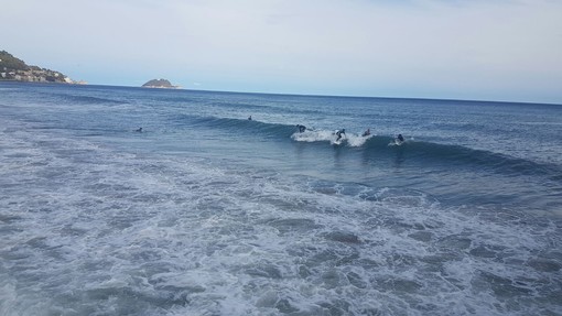 Alassio, la sfida di un esperto in scienze ambientali marine, Alessio Rovere, e un ex campione italiano di surf, Filippo Orso: “Difendiamo la spiaggia con opere moderne che non uccidano il surf”