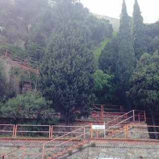 Savona, migliorano le condizioni delle scale che collegano l'Aurelia a via Famagosta: erba alta e sterpaglie tagliate