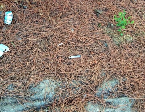 Albenga: l'appello di Ciangherotti "Non abbandonate le siringhe sul territorio"