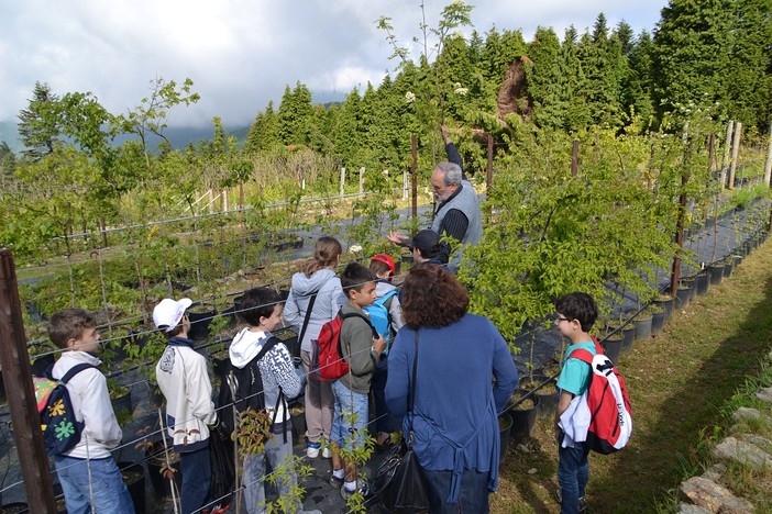 La scuola primaria di Spotorno in visita al vivaio di Pian dei Corsi