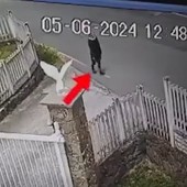 Varazze, "Chi l'ha visto" rilancia sui canali social il caso di Margherita Giacomini, scomparsa due anni fa Varazze, "Chi l'ha visto" rilancia sui canali social il caso di Margherita Giacomini, scomparsa due anni fa