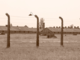 Finale : "Memorie - in viaggio verso Auschwitz" Finale : "Memorie - in viaggio verso Auschwitz"